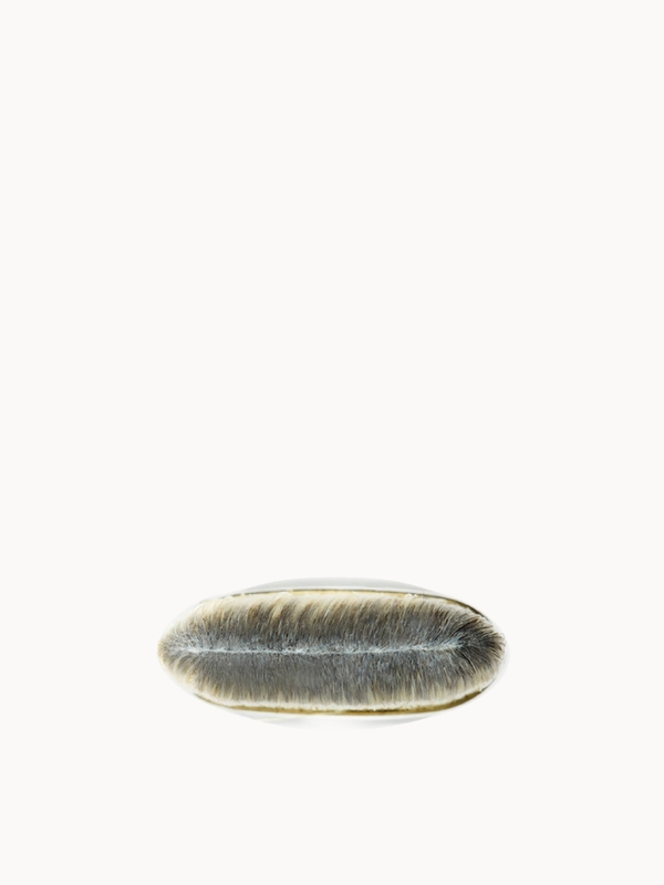  Mac 190 Foundation Brush 