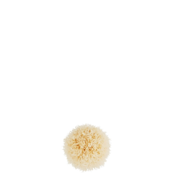  Mac 221s Mini Tapered Blending Brush 