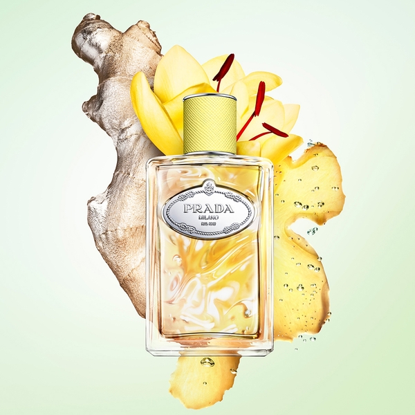  Prada Les Infusions De Gingembre Eau De Parfum 100ml 