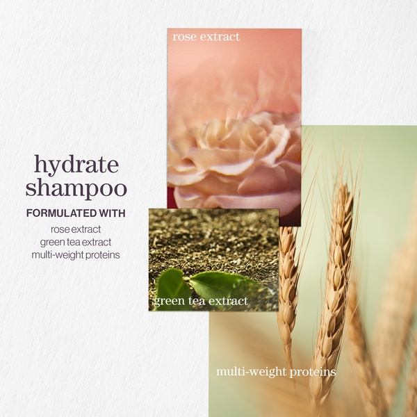  Pureology Hydrate Shampoo 266ml, Conditioner 266ml And Color Fanatic Spray Travel Size 30ml For Dry Hair Bundle 