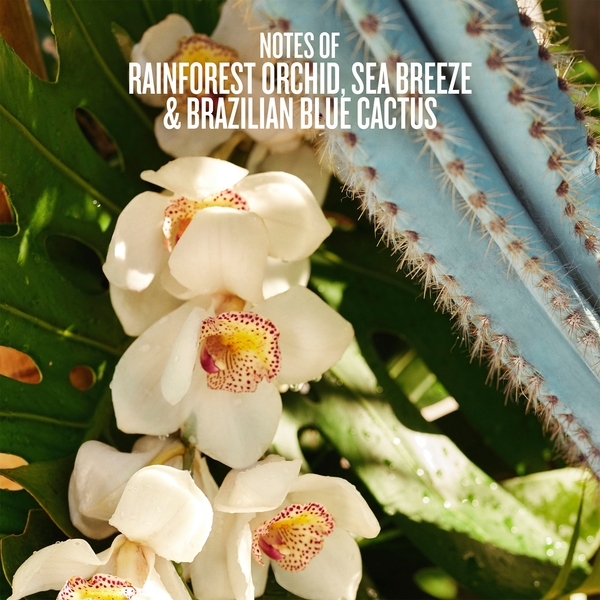  Sol De Janeiro Refresco Paraiso Mist 90ml 