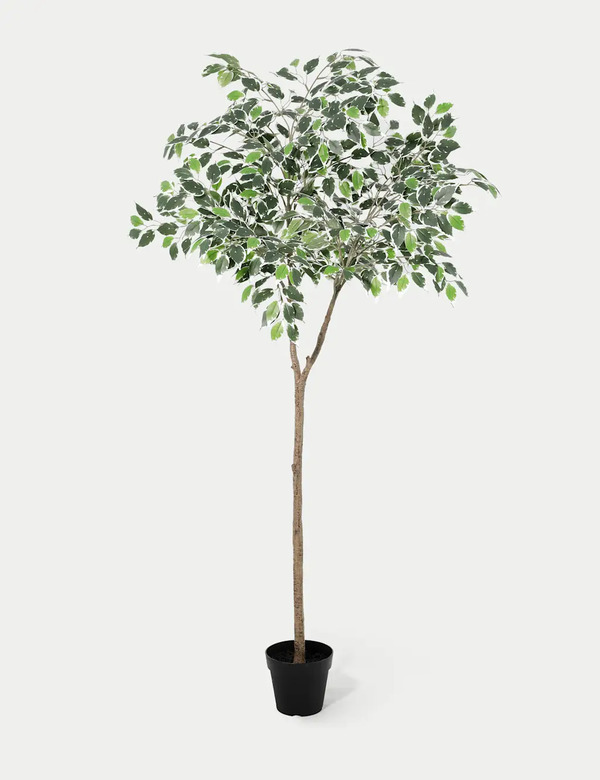  Blooming Artificial Artificial 5ft Ficus Topping Tree Green 