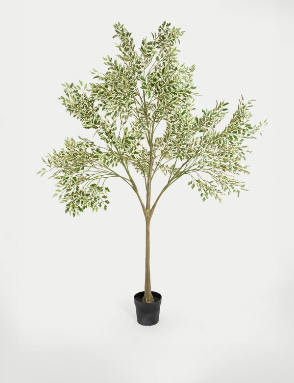  Blooming Artificial 7ft Artificial Ficus Anastasia Tree In Pot Green Mix 