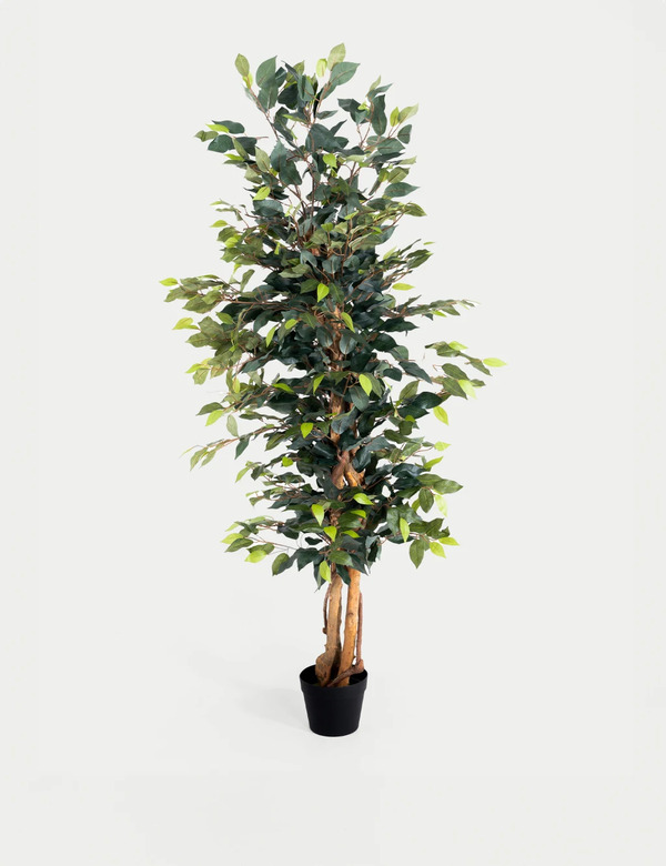  Blooming Artificial 6ft Artificial Ficus Tree In Pot Green 