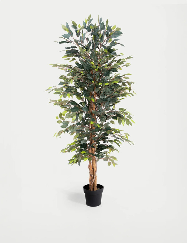  Blooming Artificial 5ft Artificial Ficus Tree In Pot Green 