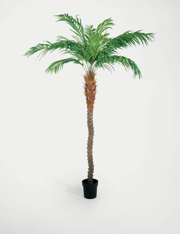  Blooming Artificial 8ft Artificial Phoenix Palm Tree In Pot Green 