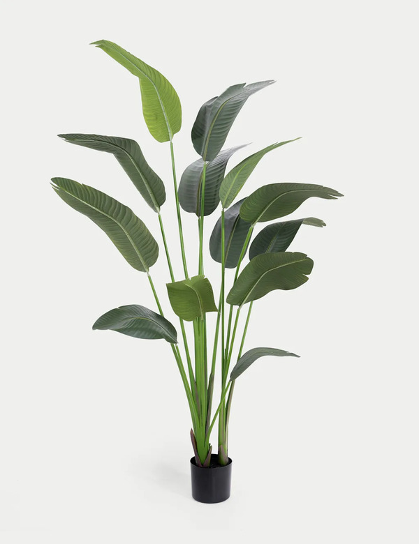  Blooming Artificial 6ft Artificial Strelitzia Plant Green 