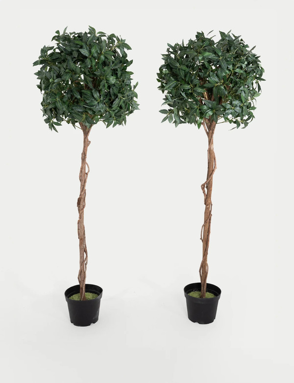  Blooming Artificial 6ft Set Of 2 Artificial Floor Standing Bay Trees Green 