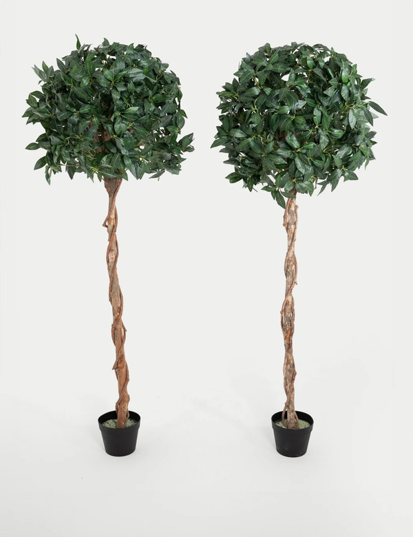  Blooming Artificial 5ft Set Of 2 Artificial Tall Bay Trees In Pots Green 