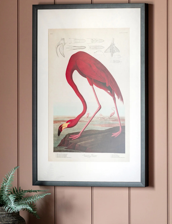  Gallery Direct Curious Flamingo Rectangle Framed Art Multi 