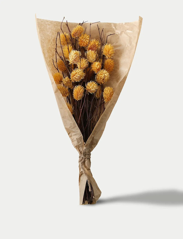  Gallery Direct Dried Thistle Bouquet Yellow 