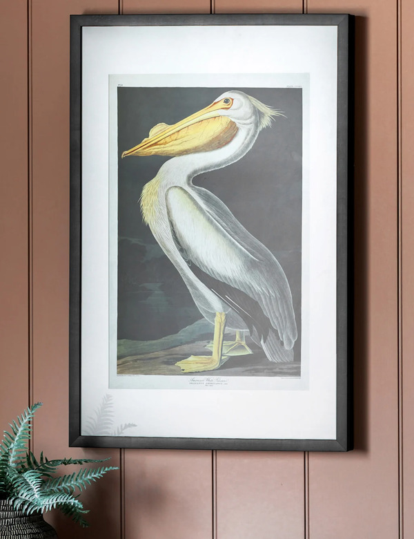  Gallery Direct Inquisitive Pelican Rectangle Framed Art Multi 