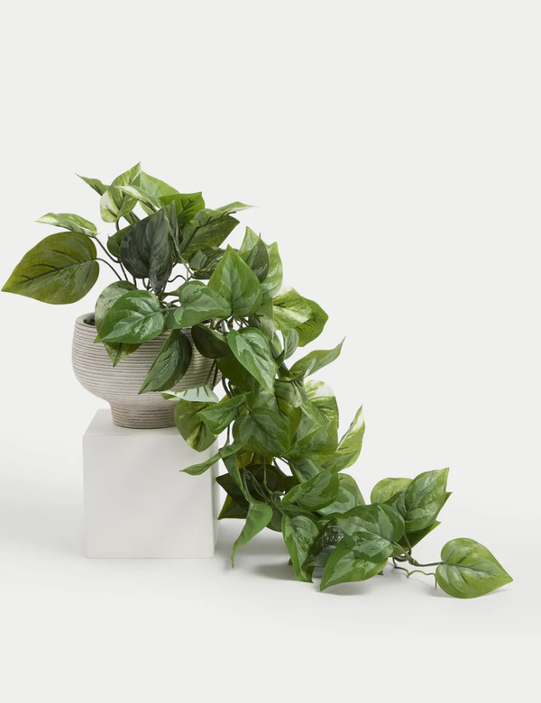  Moss & Sweetpea Artificial Trailing Pothos In Cement Pot Green 
