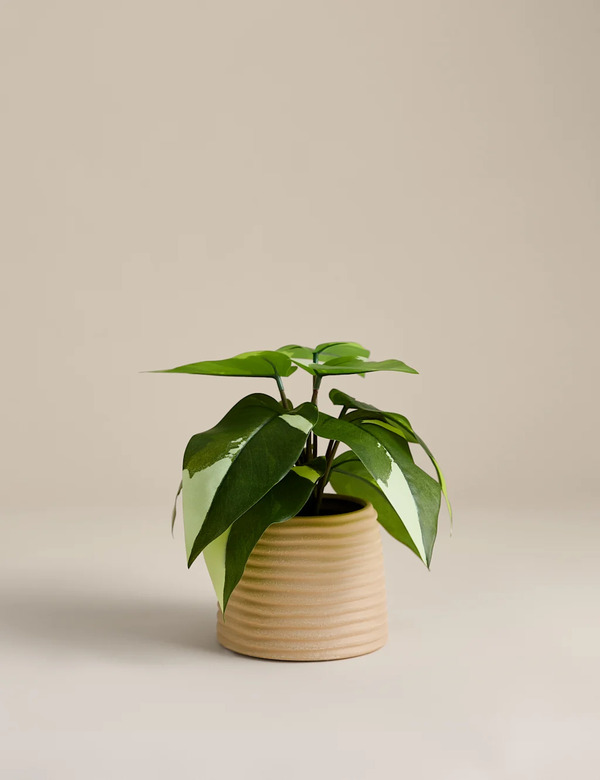  M&s Artificial Heartleaf Philodendron In Ceramic Pot Green 