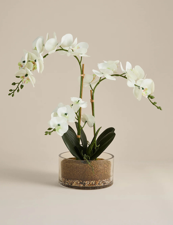 M&s Artificial Large Orchid In Glass Pot White 