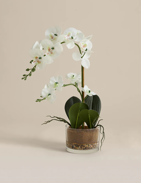  M&s Artificial Medium Orchid In Glass Pot White 