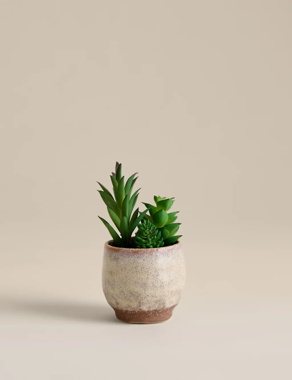  M&s Artificial Mini Succulent In Ceramic Pot Natural 