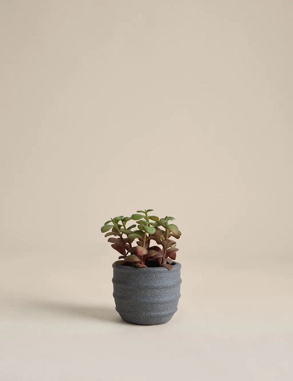  M&s Artificial Mini Succulent In Ridged Concrete Pot Green 