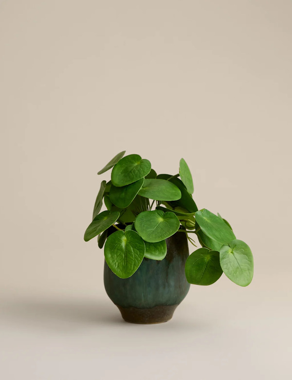  M&s Artificial Money Plant In Ceramic Pot Green 