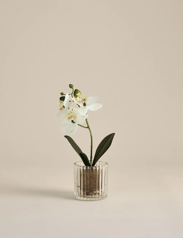  M&s Artificial Small Orchid In Glass Pot White 