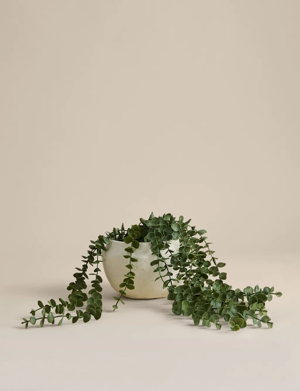  M&s Artificial String Of Hearts In Cement Pot Green 