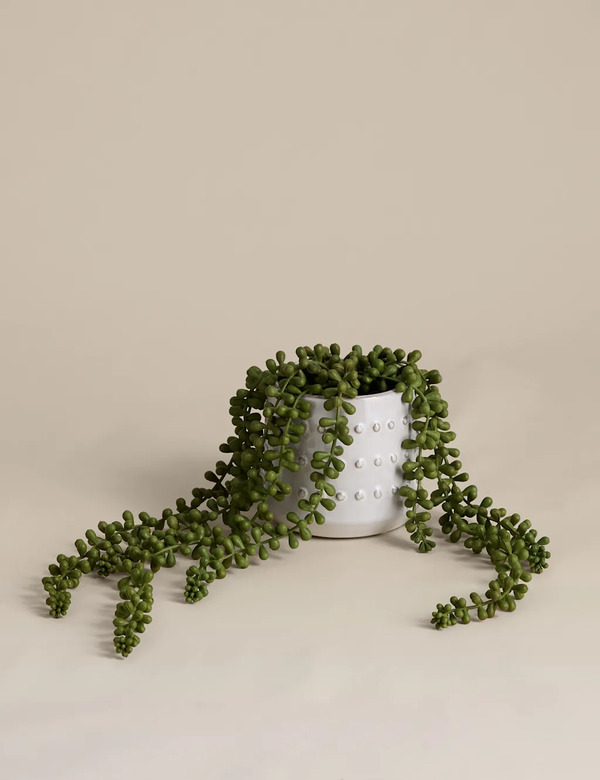  M&s Artificial String Of Pearls In Ceramic Pot Green 