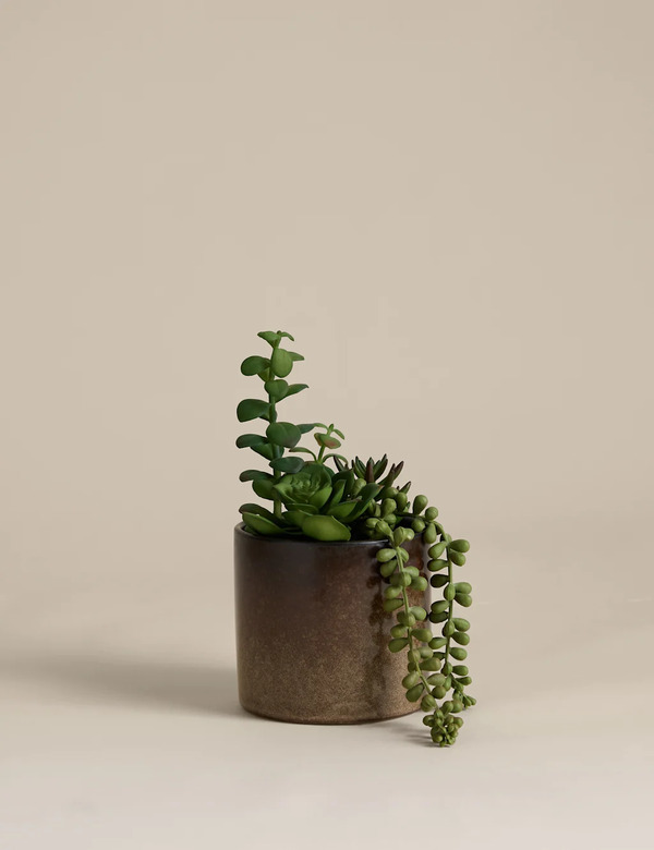  M&s Artificial Succulent Family In Reactive Glaze Pot Green 