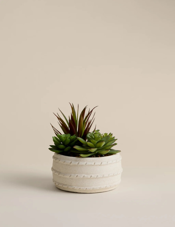  M&s Artificial Succulent In Ceramic Pot Natural 