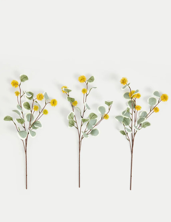  M&s Set Of 3 Eucalyptus Erythrocorys Single Stems Orange 