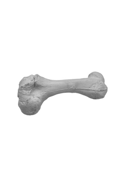  Chewtopia Chew Bone 