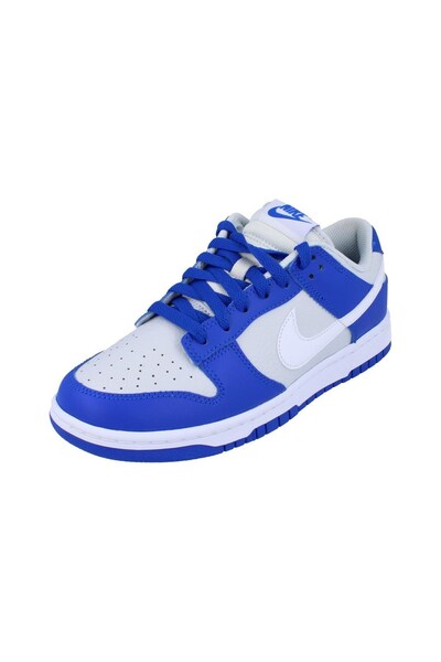  Nike Dunk Low Mens Trainers 