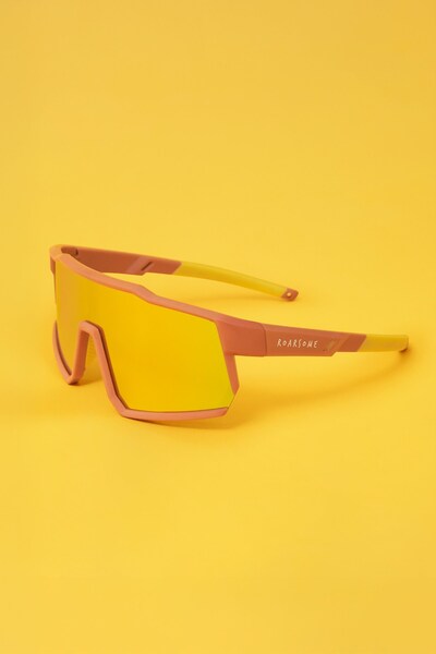  Roarsome Kids Sunglasses 