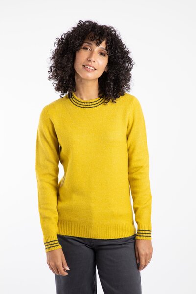  Weird Fish Dawkins Womens Tipped Jumper 