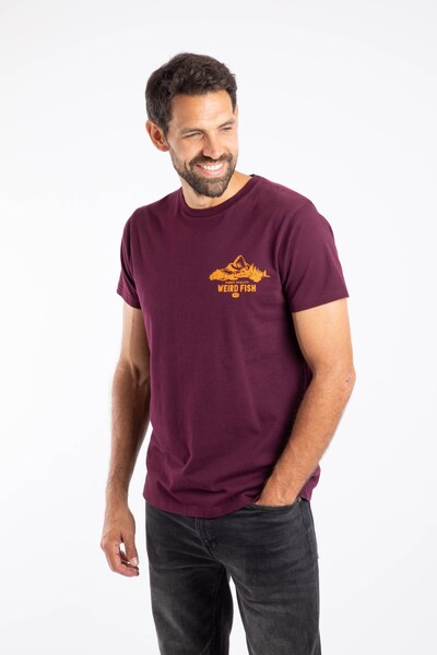  Weird Fish Mountain Valley Mens Back Print Graphic T Shirt 