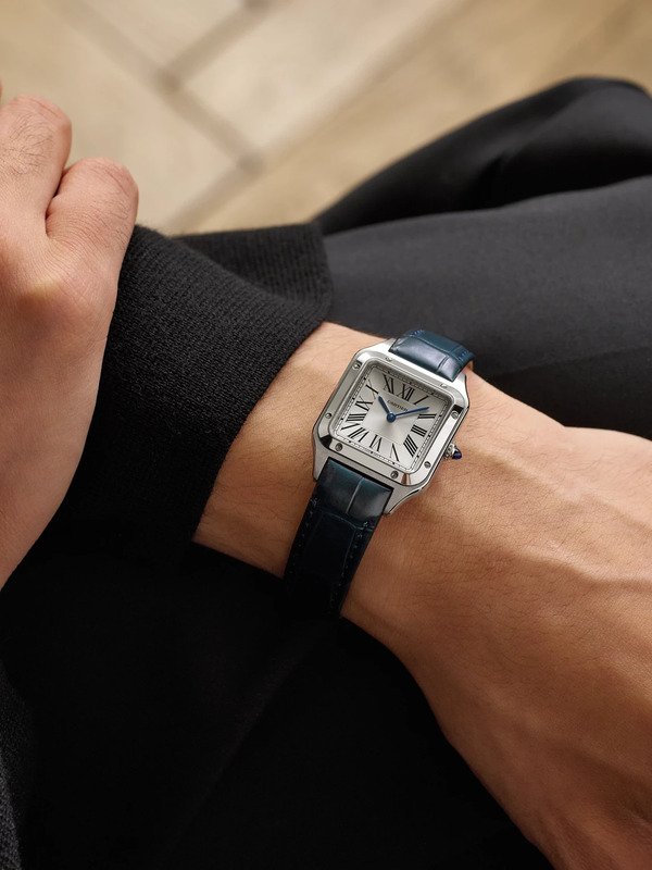  Cartier - Santos-dumont Small 38mm Stainless Steel And Alligator Watch, Ref. No. Wssa0086 - Men - Silver 