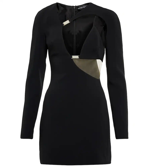  David Koma David Koma Cutout Minidress 