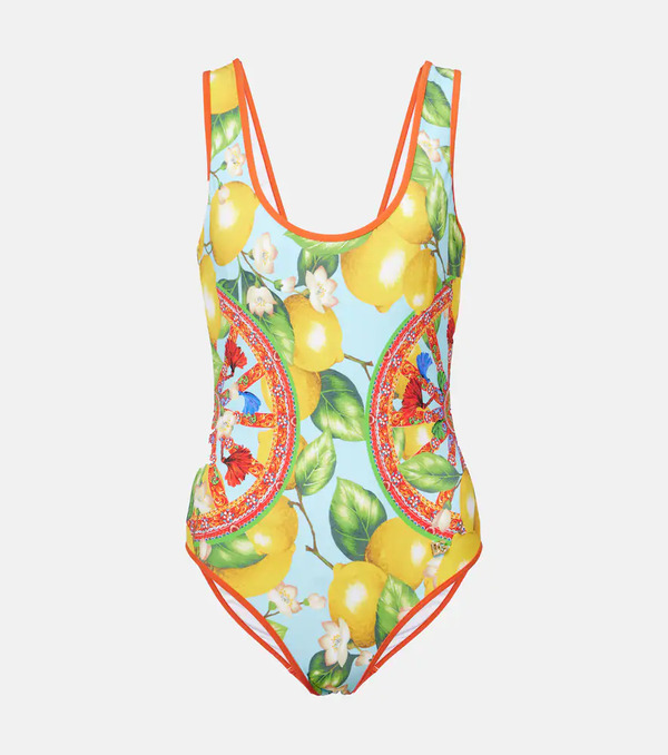  Dolce&gabbana Dolce&gabbana Printed Swimsuit 