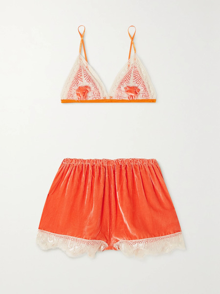  Sleeping With Jacques   + Net Sustain Julia Lace Trimmed Silk Blend Satin And Velvet Soft Cup Bra And Shorts Set   Orange 