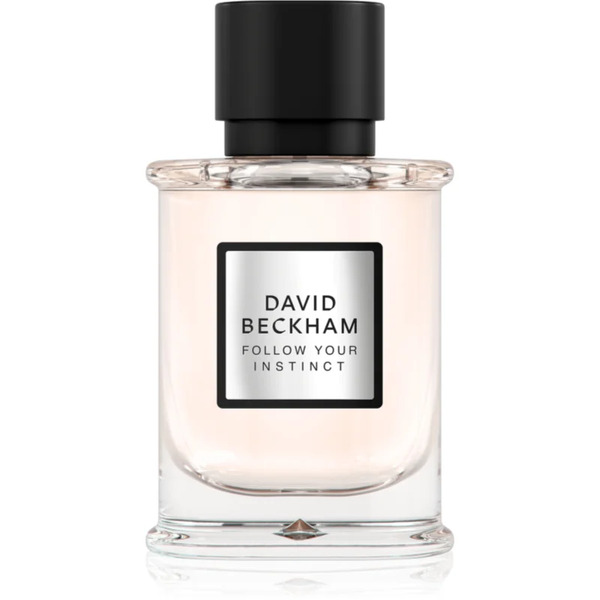  David Beckham Follow Your Instinct Eau De Parfum For Men 50 Ml 