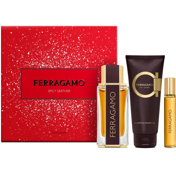  Ferragamo Spicy Leather Gift Set For Men 