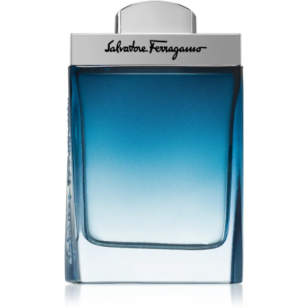  Ferragamo Subtil Pour Homme Eau De Toilette For Men 100 Ml 