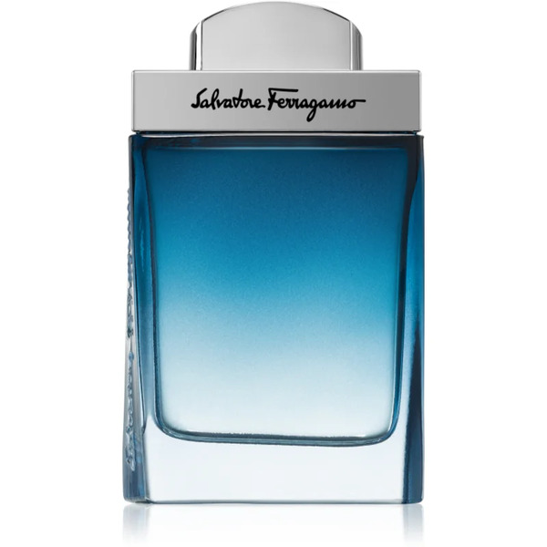  Ferragamo Subtil Pour Homme Eau De Toilette For Men 50 Ml 