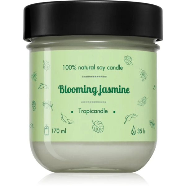  Tropicandle Green Tea Scented Candle 170 Ml 