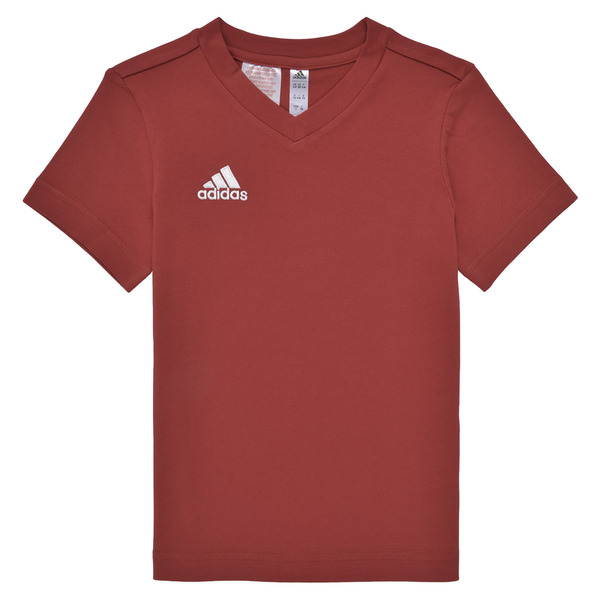 Adidas  T Shirt Ent22 Tee Y  (boys) 