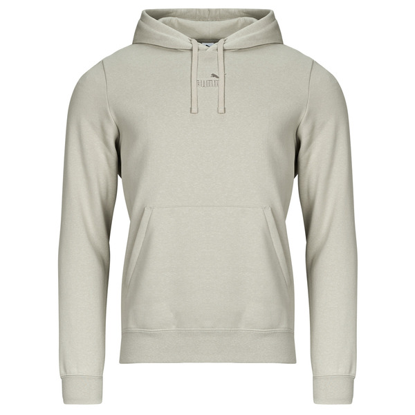  Puma  Hoodies Ess Small No. 1 Logo Centered Logo Hoodie Fl  (men) 
