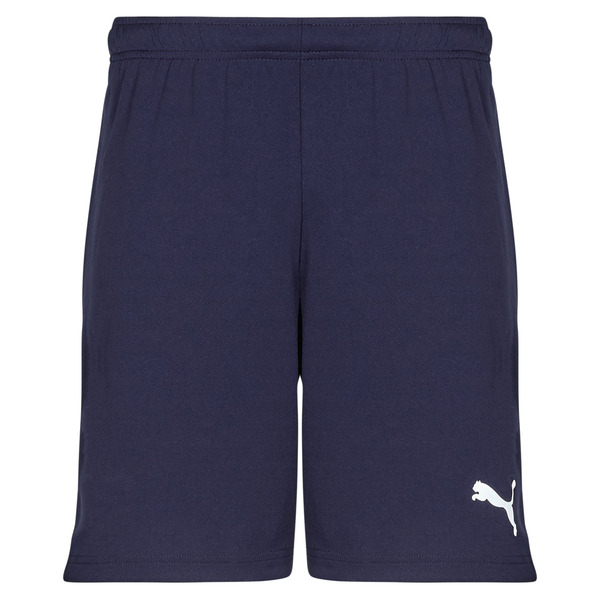  Puma  Shorts Teamrise Matchday  (men) 