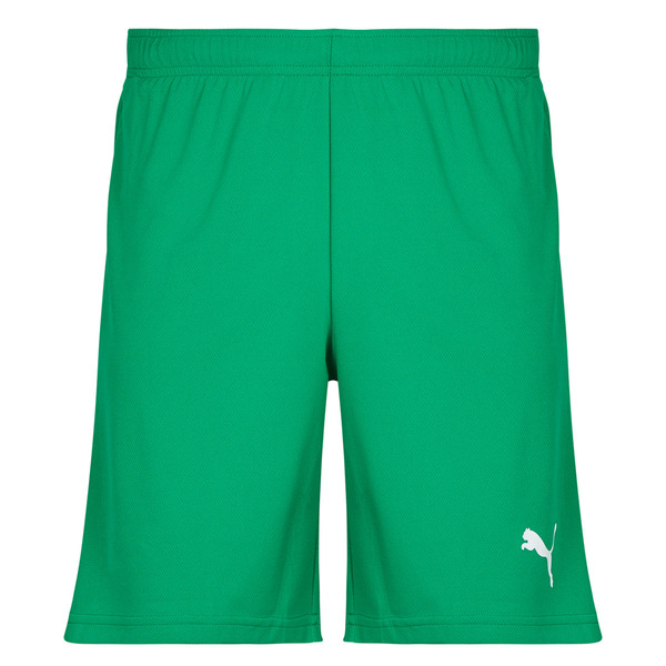  Puma  Shorts Teamrise Matchday  (men) 