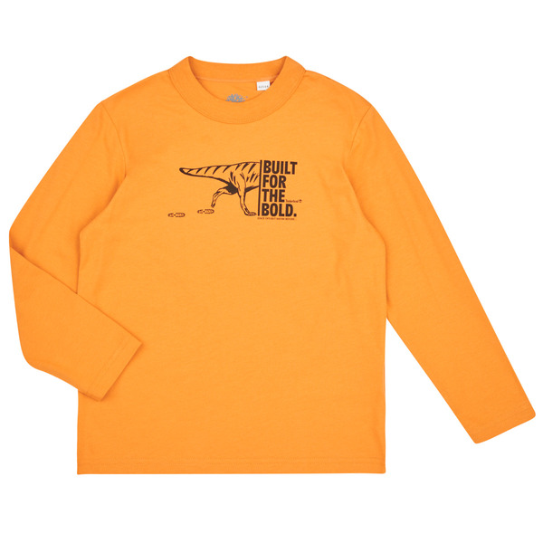  Timberland  Long Sleeve T-shirt Tee-shirt Manches Longues T60301  (boys) 