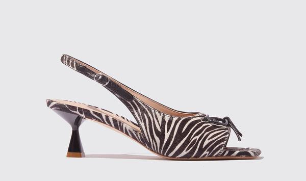  Scarosso Scarosso Last Chance Bella Zebra Pony Pony 